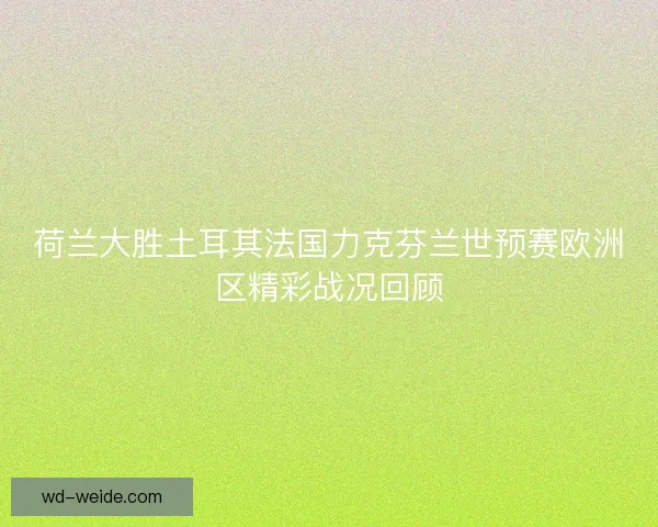 荷兰大胜土耳其法国力克芬兰世预赛欧洲区精彩战况回顾 荷兰大胜土耳其法国力克芬兰世预赛欧洲区精彩战况回顾
