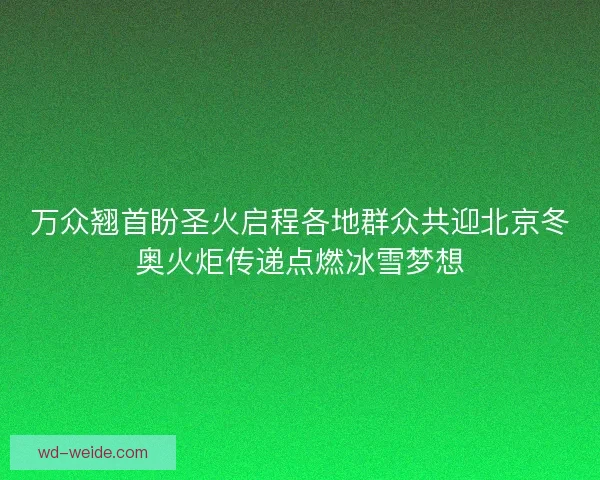万众翘首盼圣火启程各地群众共迎北京冬奥火炬传递点燃冰雪梦想